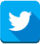 share in twitter IBSS Web Design Company in Chennai